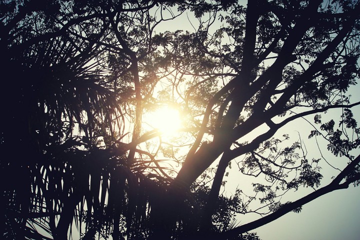 sunshine is the best medicine :)