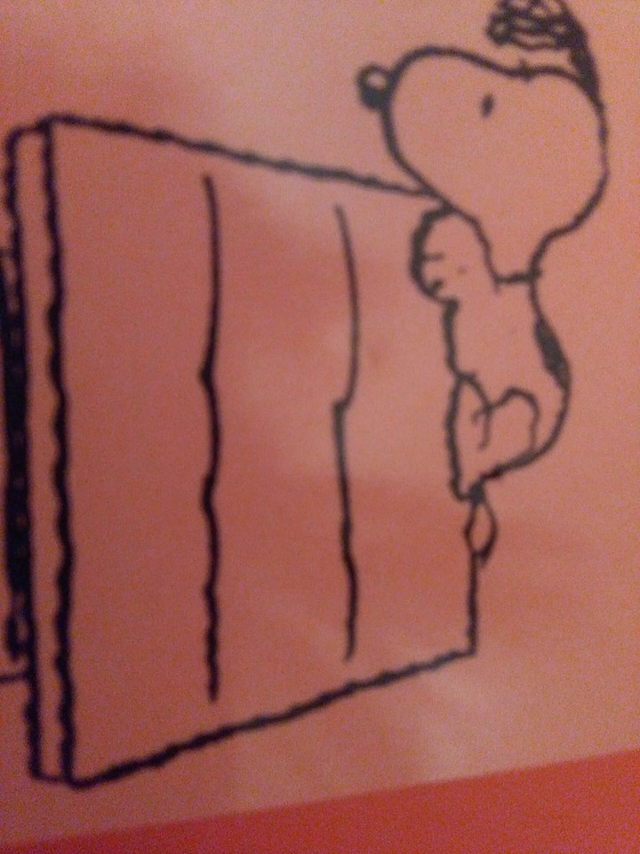 there goes snoopy
