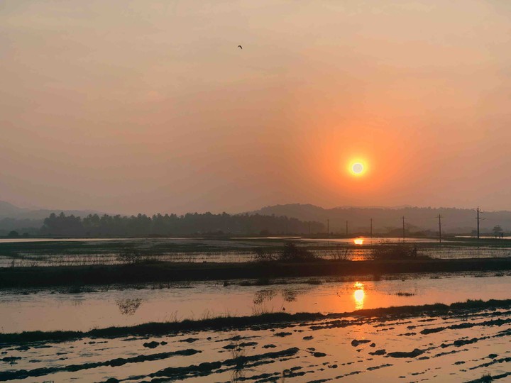 Morning in Goa