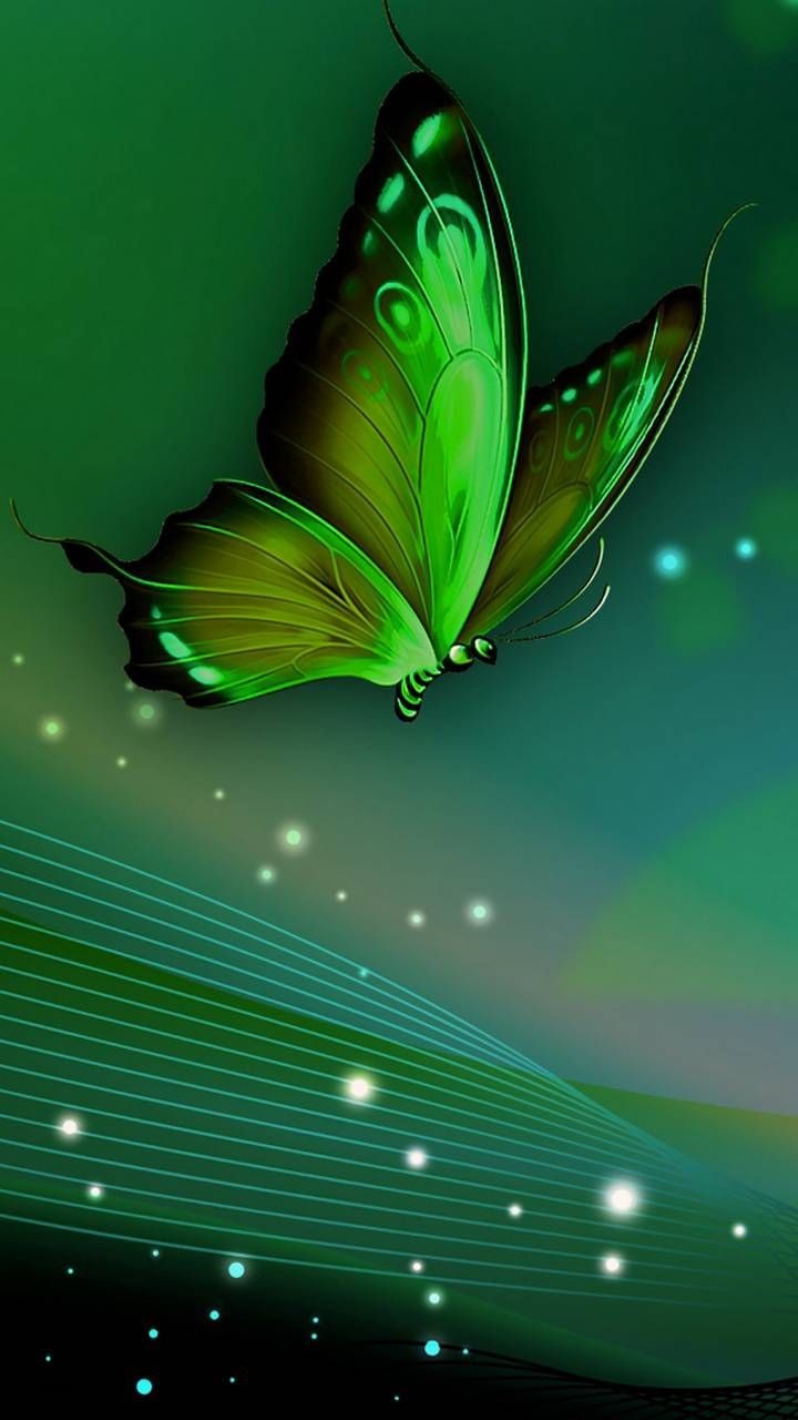 butterfly