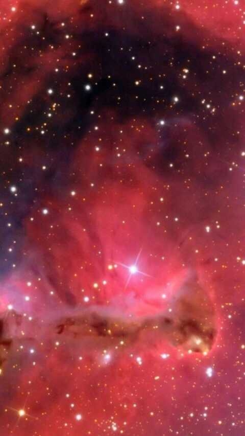 kosmos
