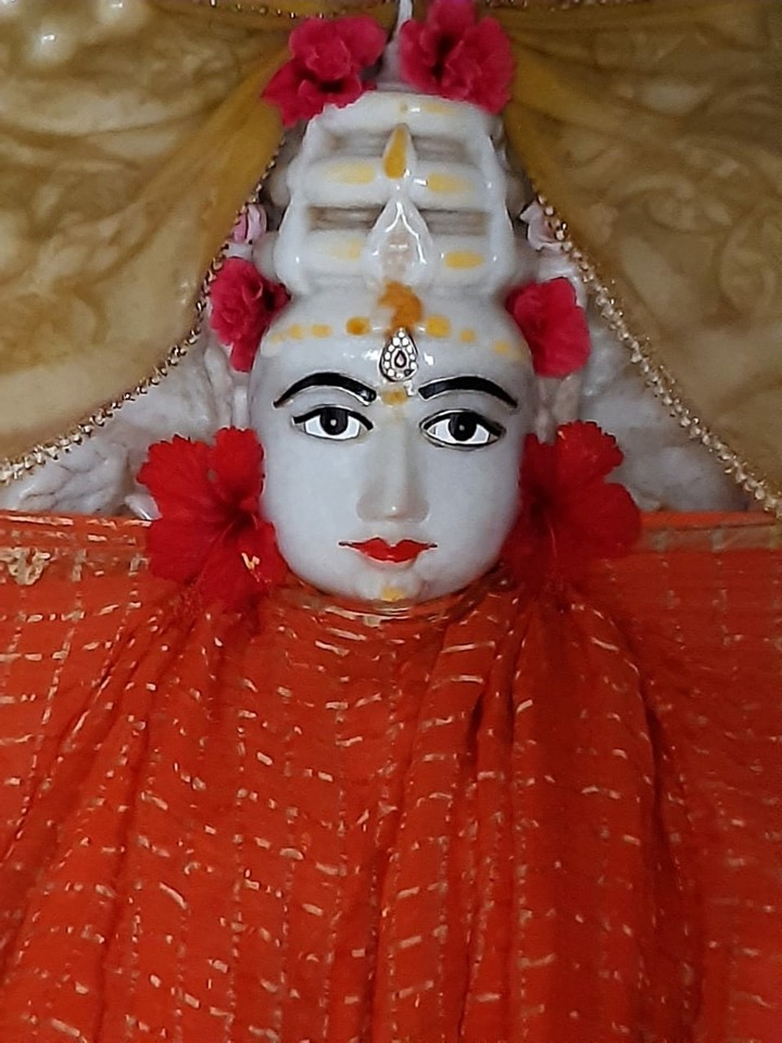 maa