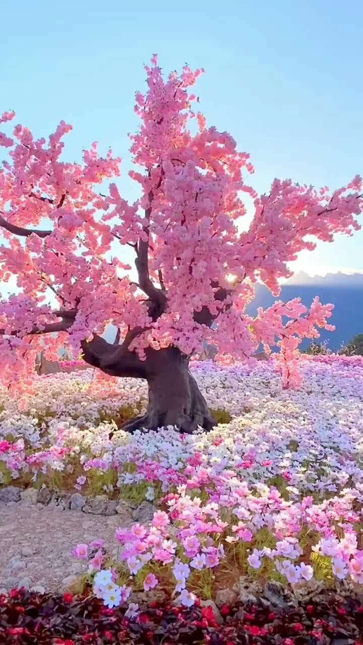 Pink Tree