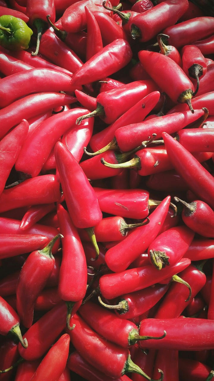 red chillis