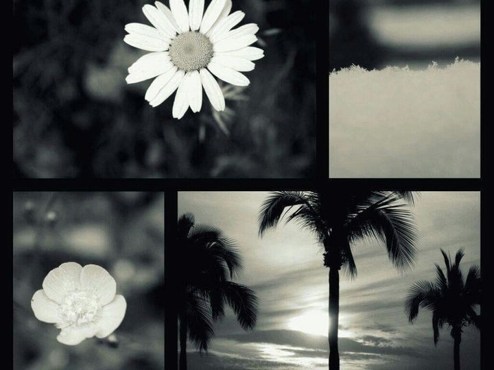 black and white dream
