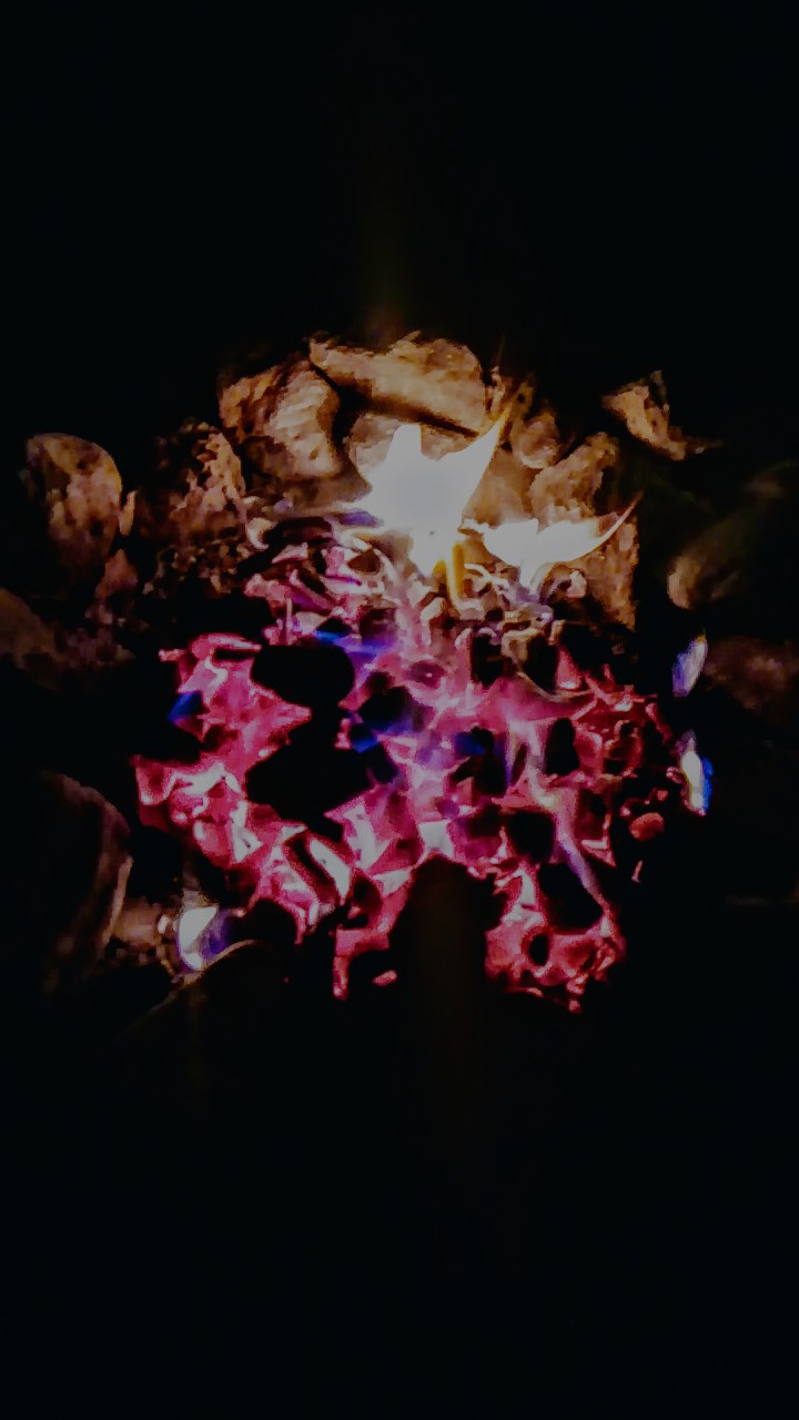 Fire
