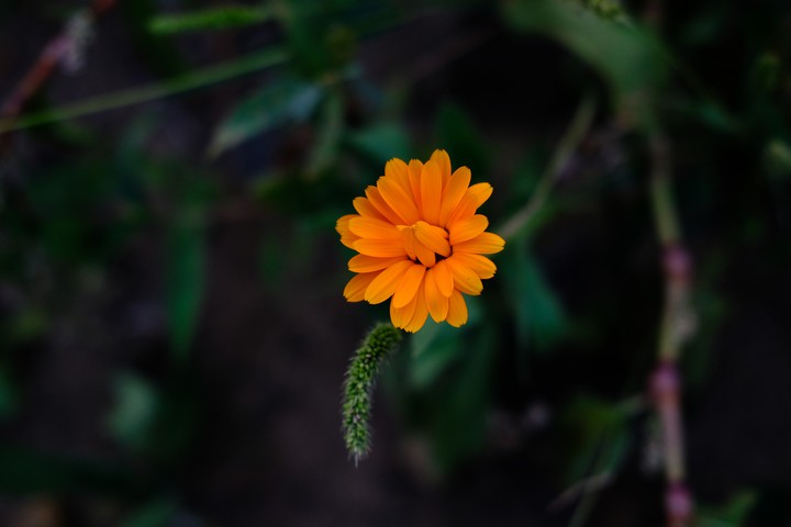 500px