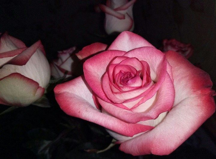 flower life style