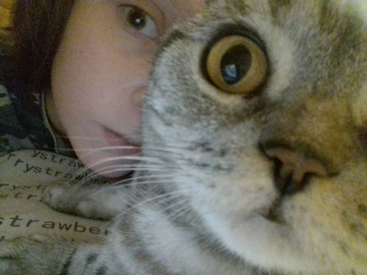 Kisssaa