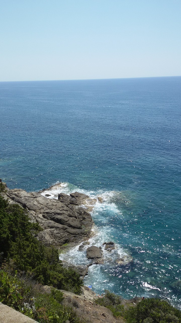 mare