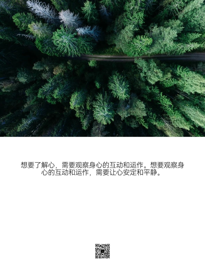 别被念头带走。