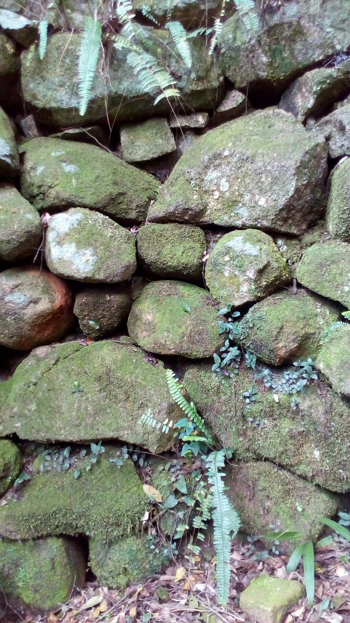 muro de pedras