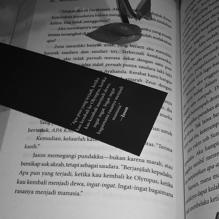 Novel