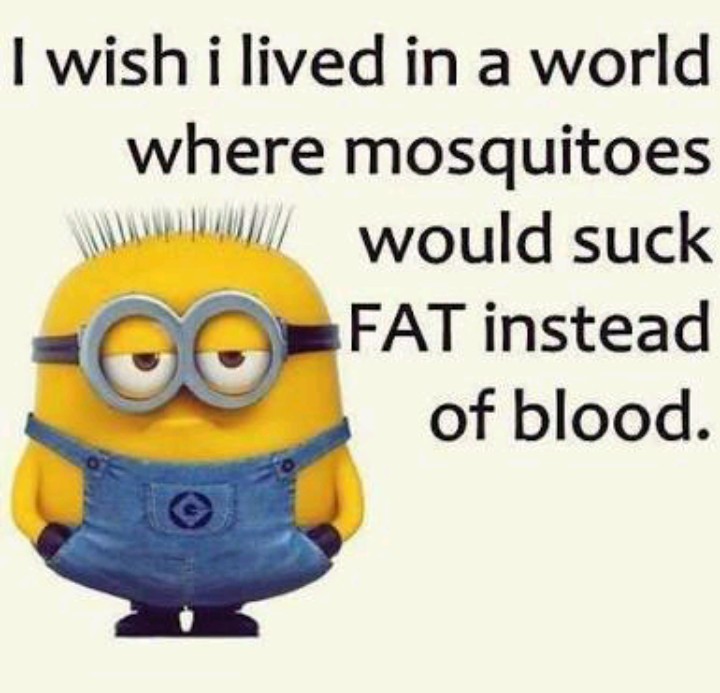 we all wish that