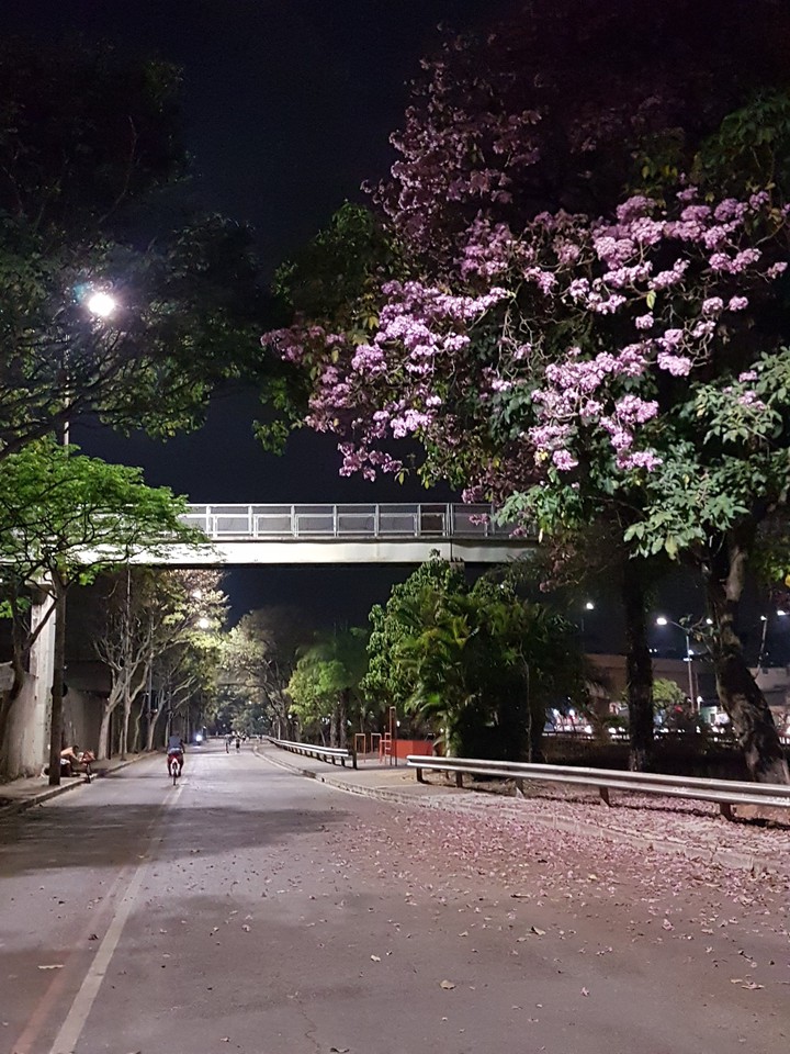 A sunday night on the jogging track