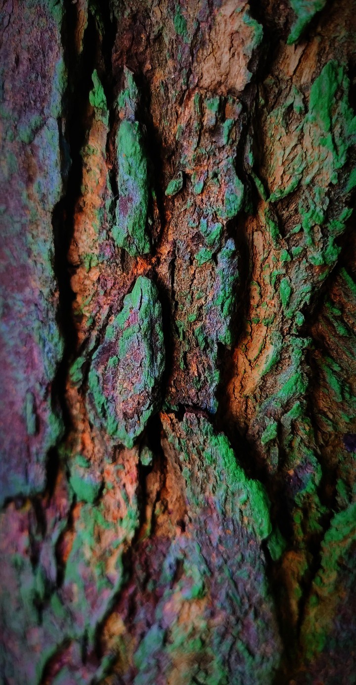 colorful