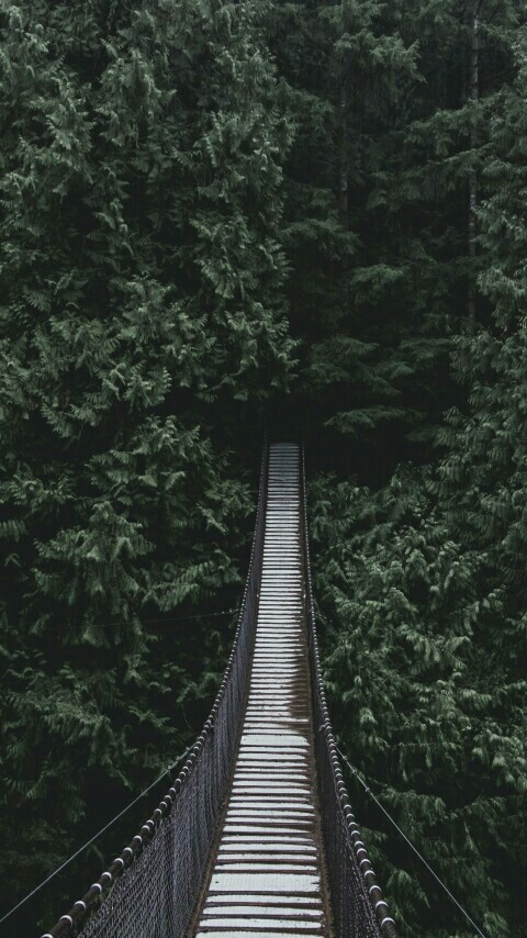 Perfect