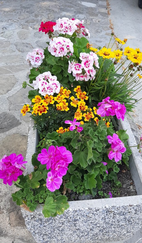 colors
