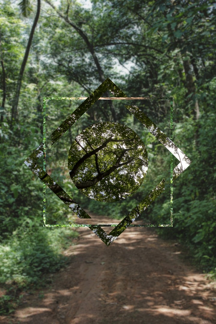Subtle polyscape