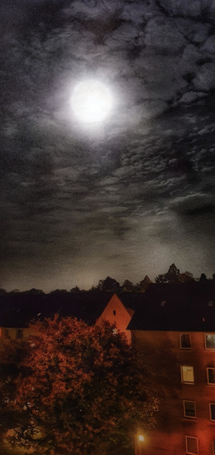 Moon