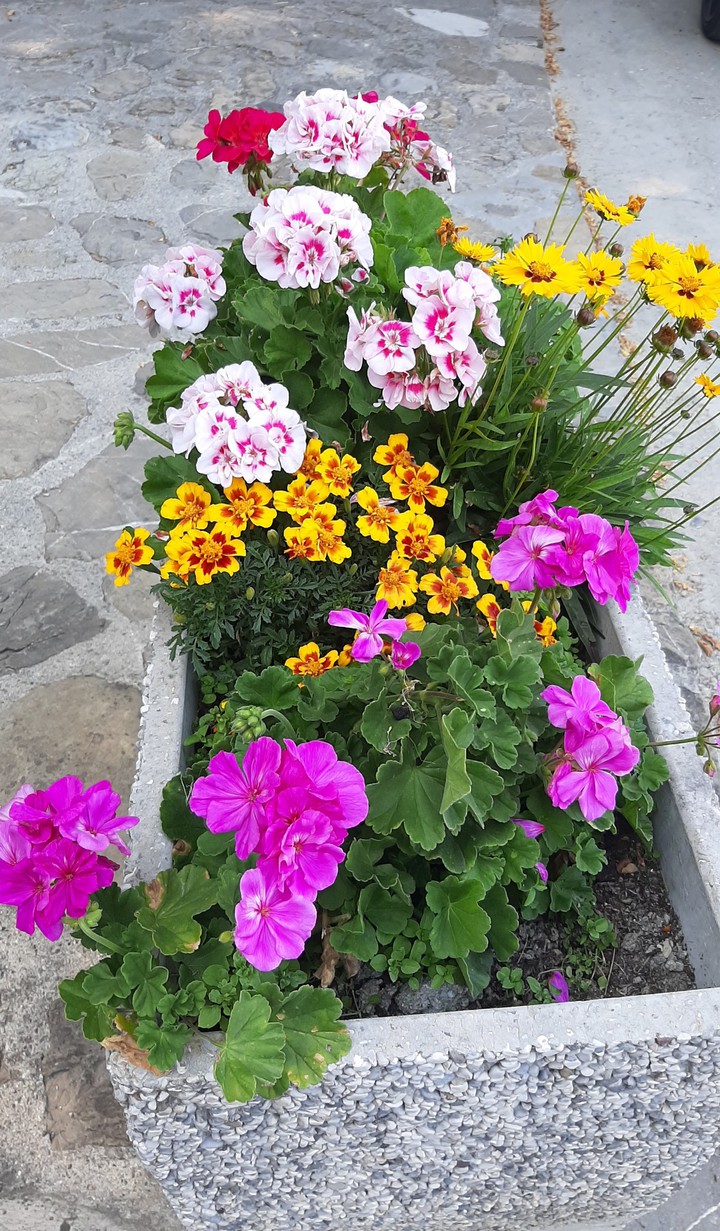 colors