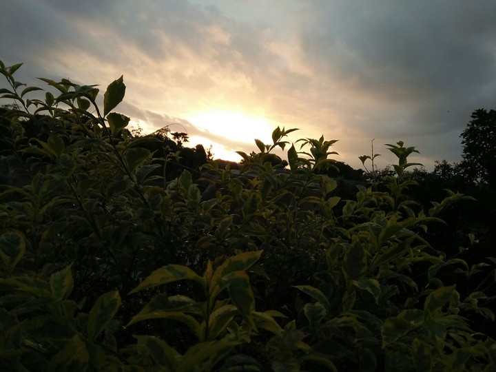 sunset