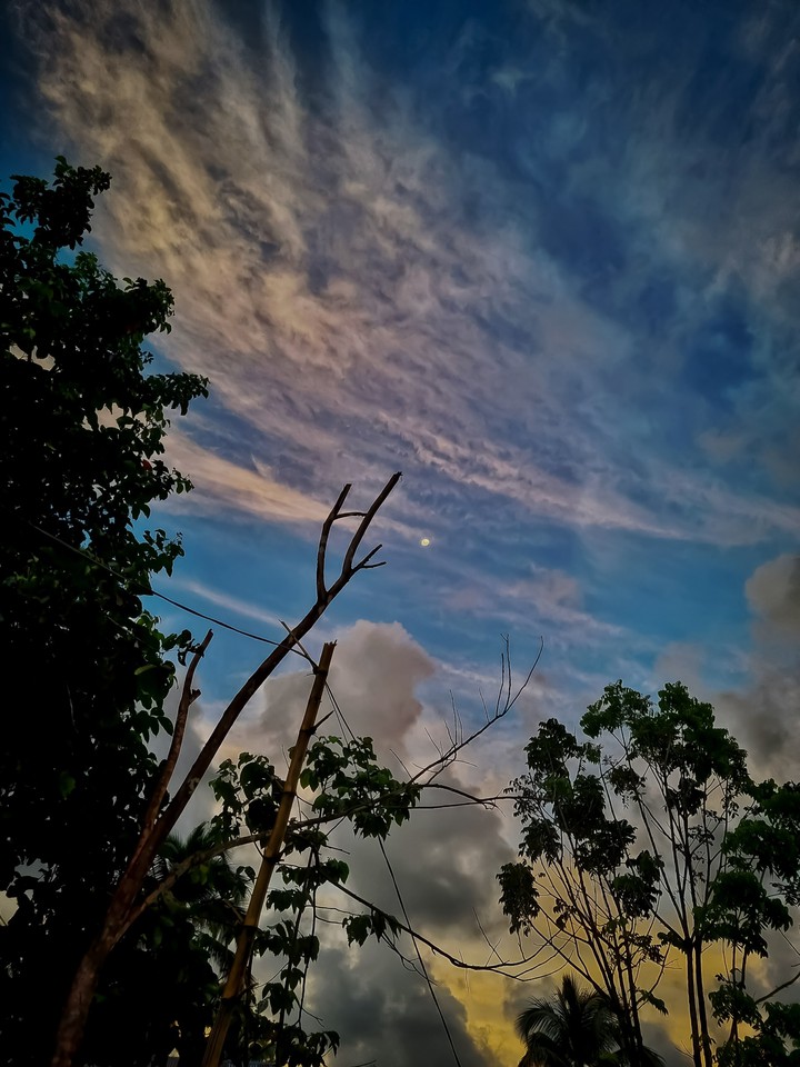 evening