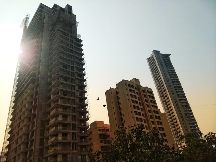 Birds and Buildings