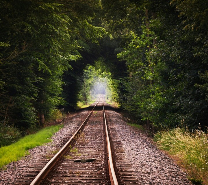 Railway Track Under the Forest