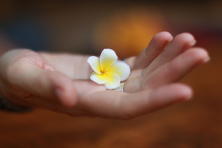 flower in the palm