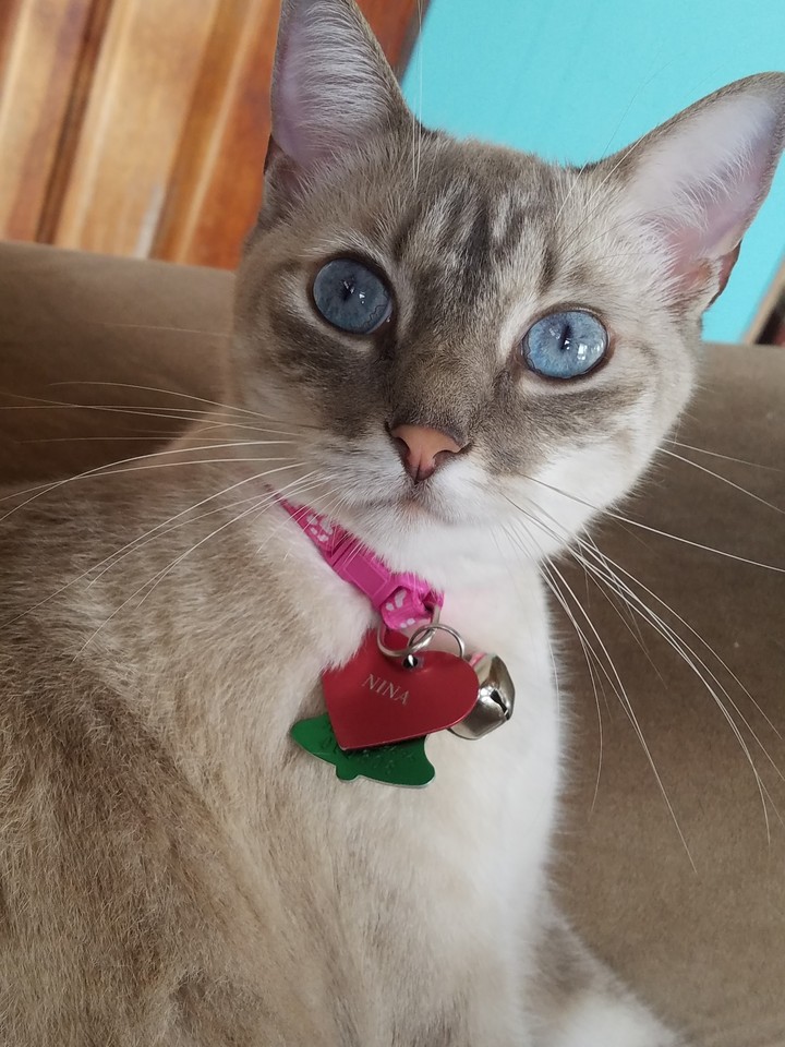 Nina