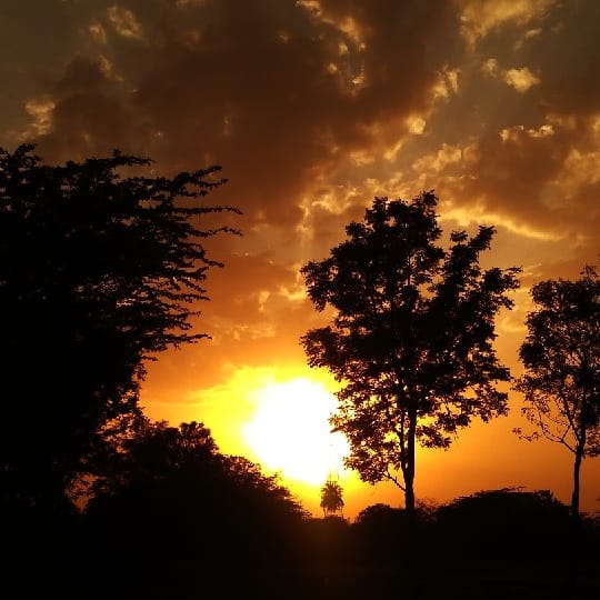 sunset