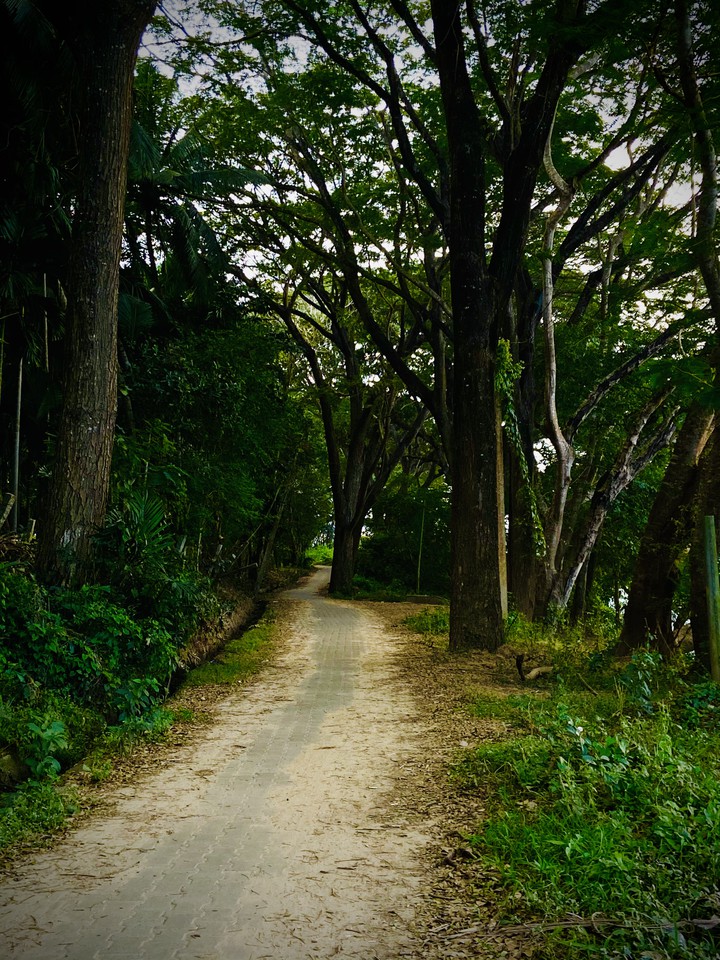 Nature