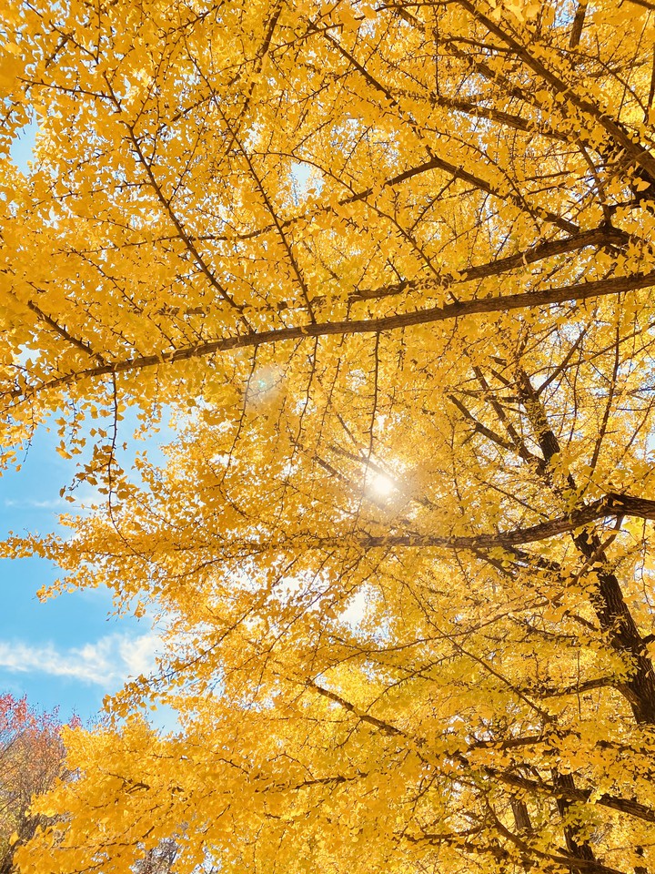 autumn