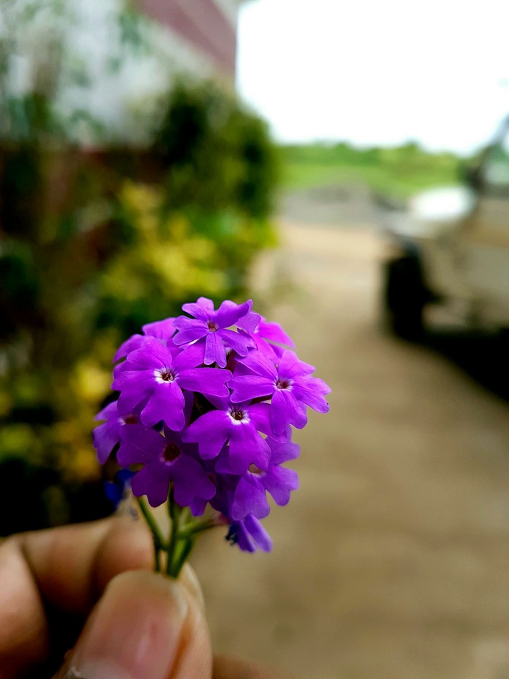 sanket photography