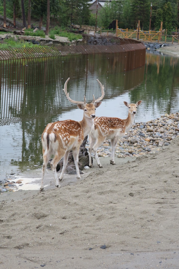 Pairi Daiza