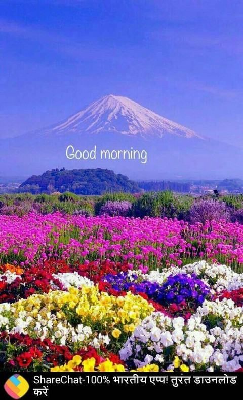beautiful nature