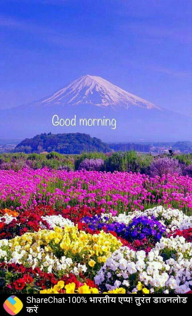 beautiful nature