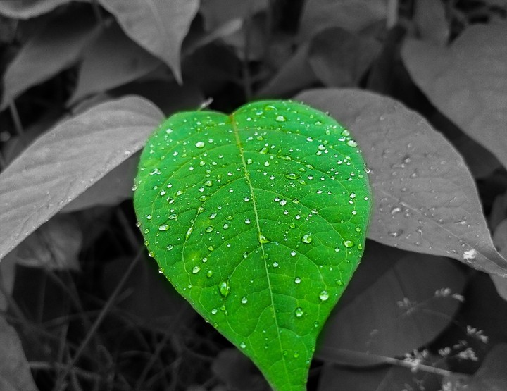 Water drops letter