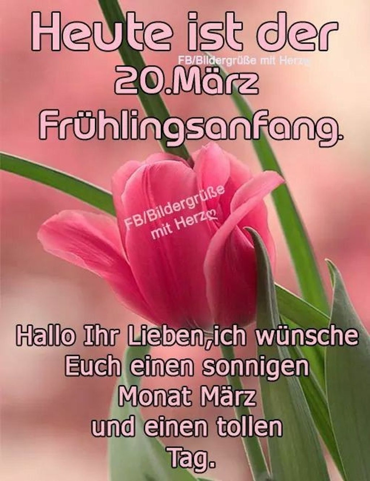 Frühling