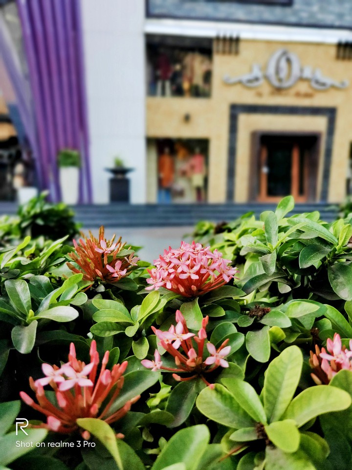 floral vibes