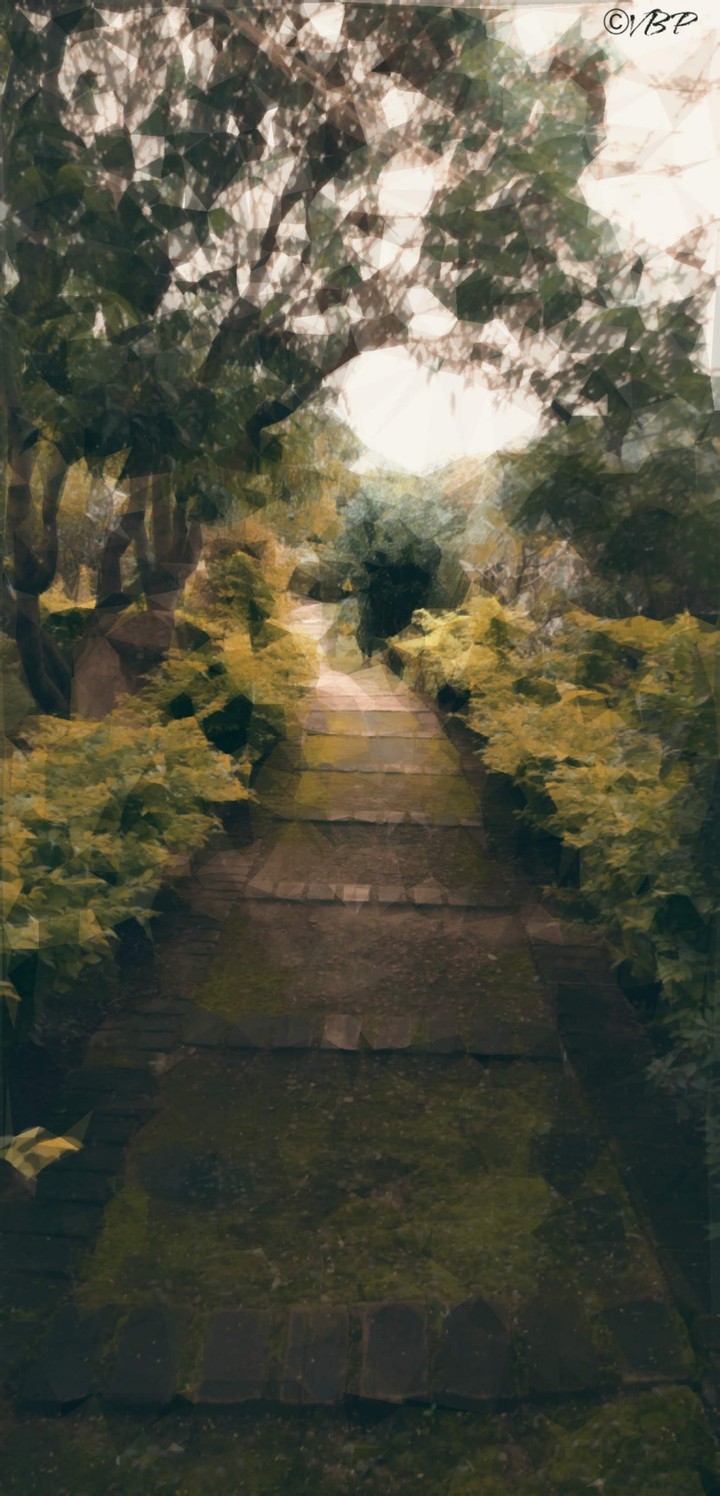 MOSAIC NATURE