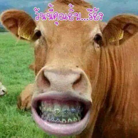 Hello