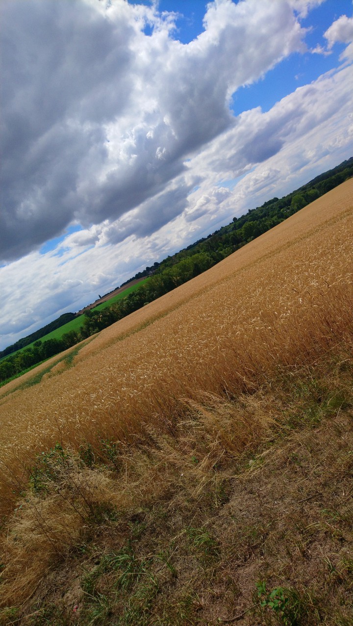 Landschaft