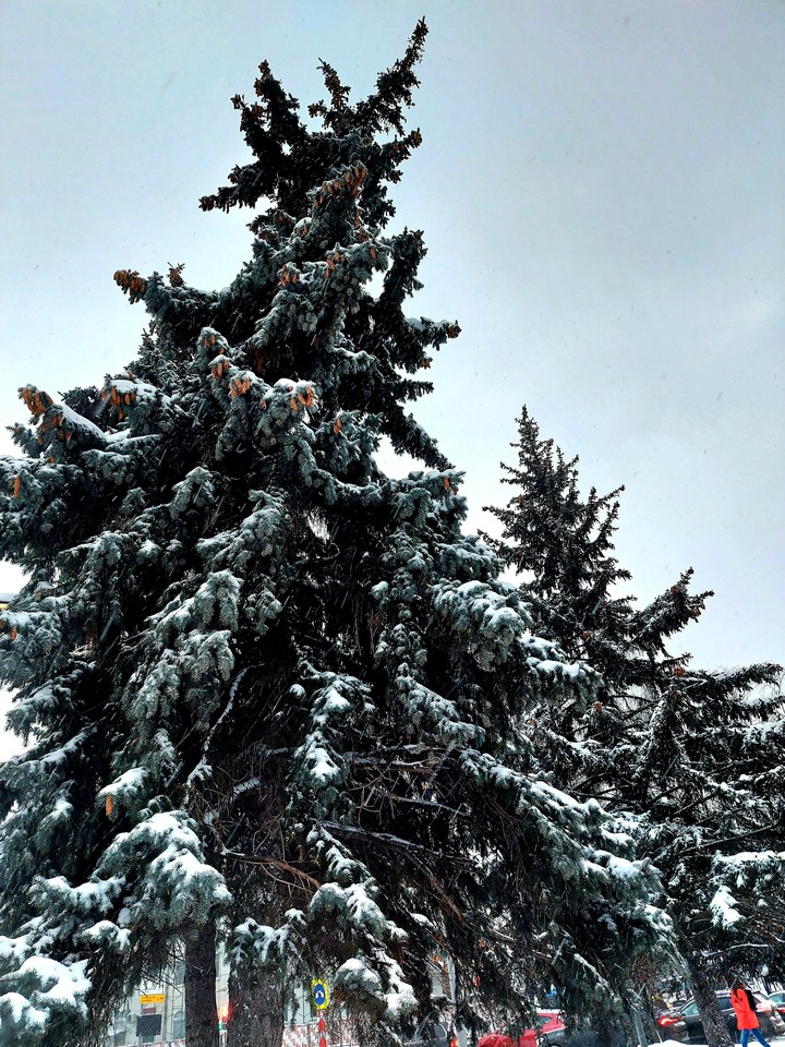 winter in Moscow