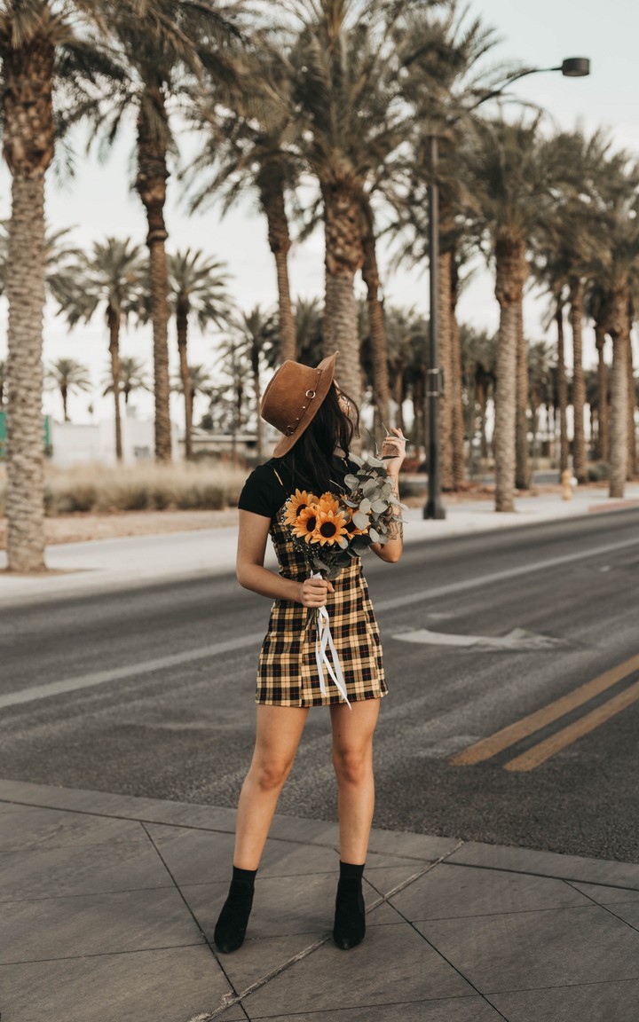 Palm Trees