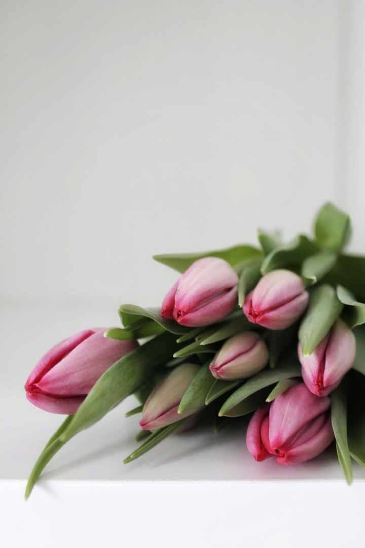 flores