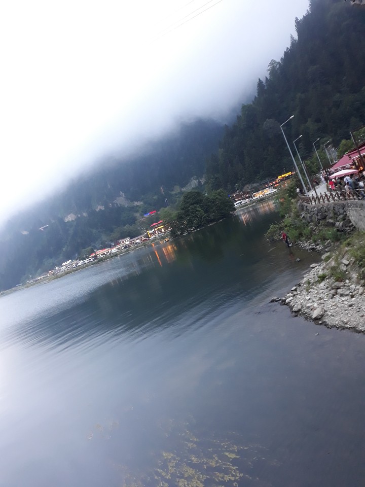 Nature