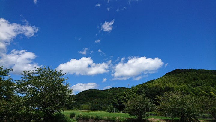 初秋