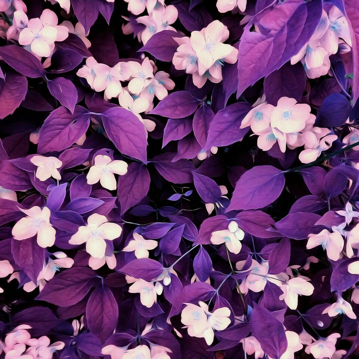 purple